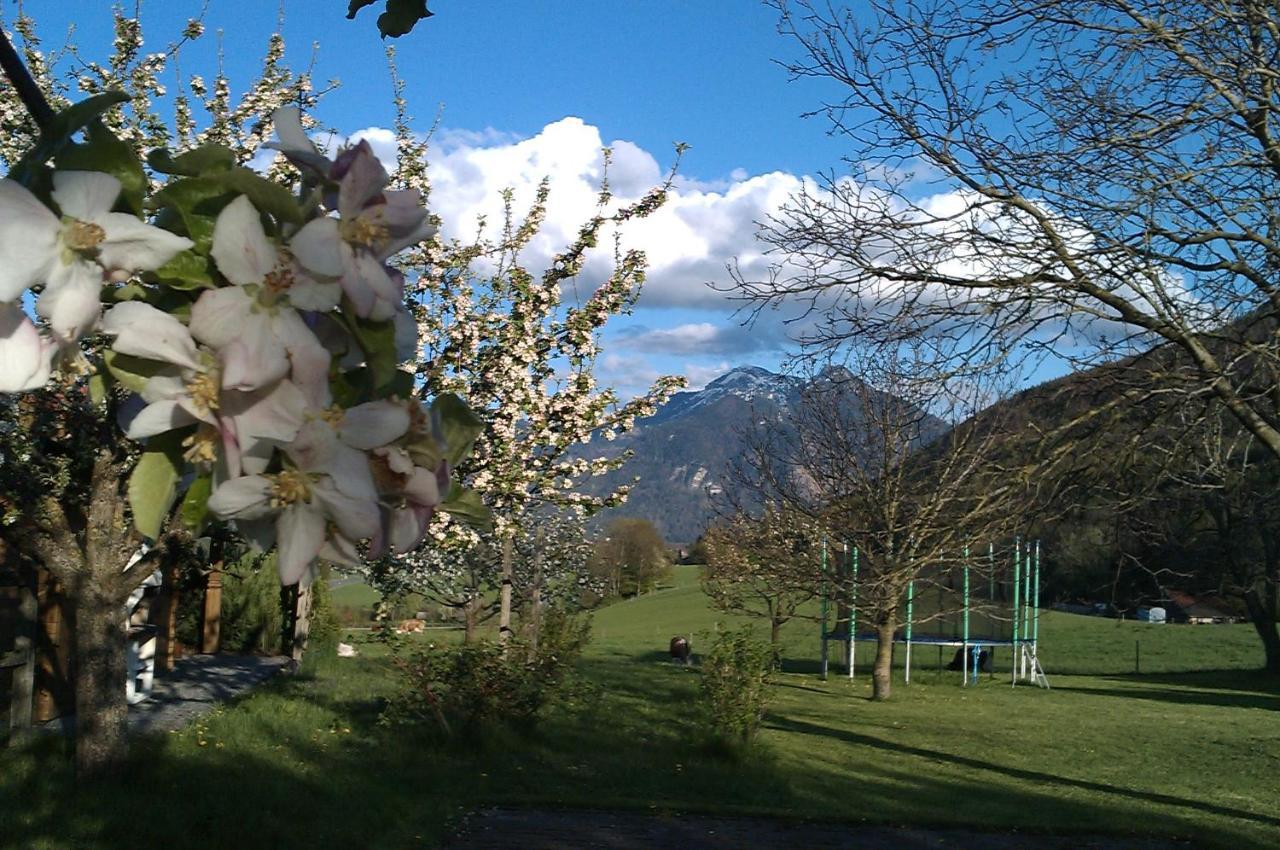 Hoderhof Διαμέρισμα Grassau  Εξωτερικό φωτογραφία