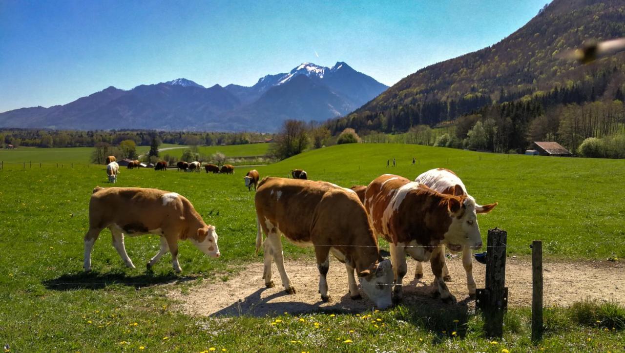 Hoderhof Διαμέρισμα Grassau  Εξωτερικό φωτογραφία