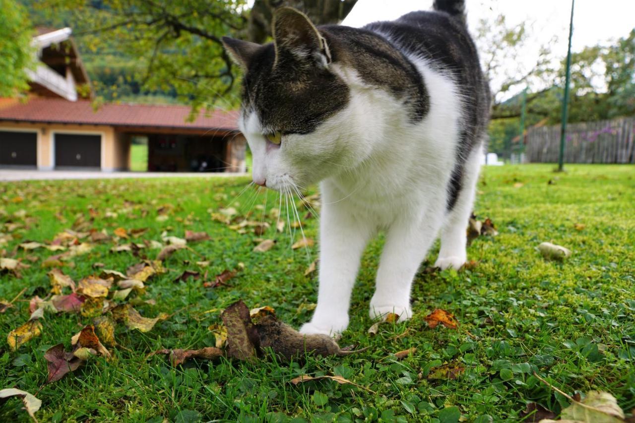 Hoderhof Διαμέρισμα Grassau  Εξωτερικό φωτογραφία